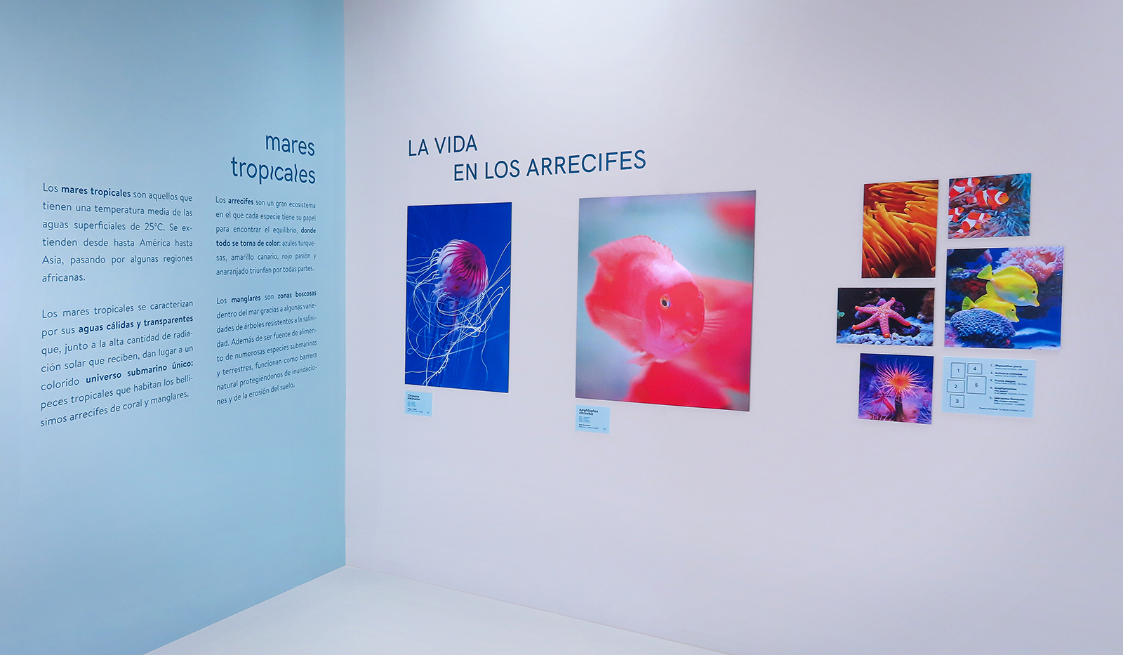 Cómo diseñar espacios efímeros para exposiciones