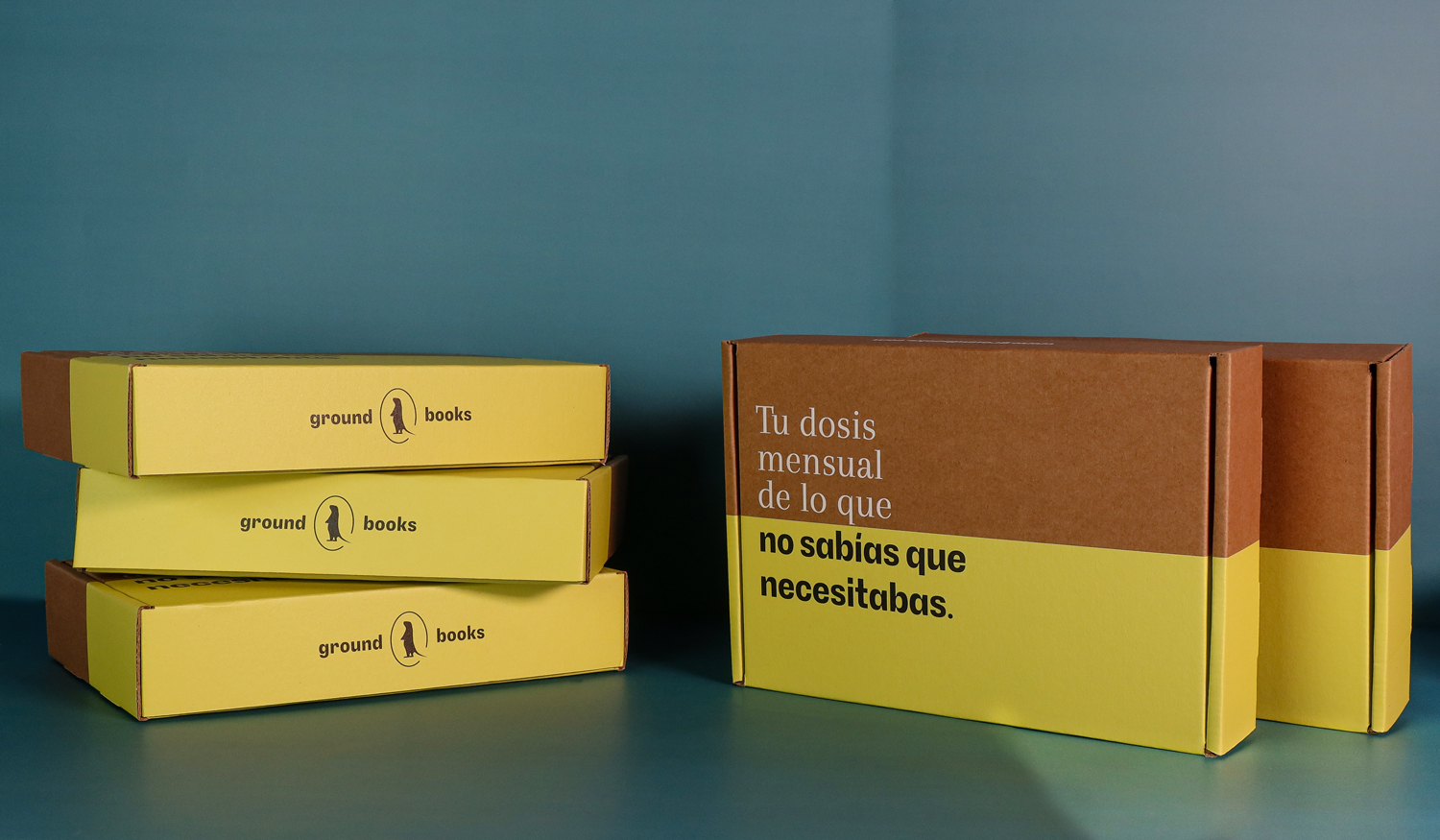 Cajas literarias de suscripción para marca editorial de libros